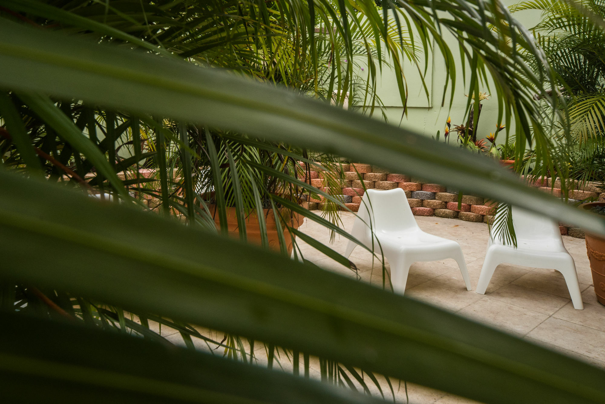 Rincon Plaza Hotel Екстер'єр фото